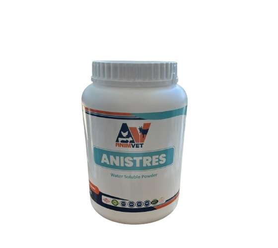 ANISTRES WS